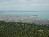 Οι βόλτες μου στο δάσος του Σέιχ Σου στη Θεσσαλονίκη image 2