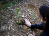 Οι βόλτες μου στο δάσος του Σέιχ Σου στη Θεσσαλονίκη image 1