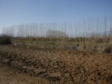 Off road experience in Lake Kerkini with a 4x4 or a bike. image 2