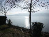 Off road experience in Lake Kerkini with a 4x4 or a bike. image 6