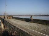 Off road experience in Lake Kerkini with a 4x4 or a bike. image 12