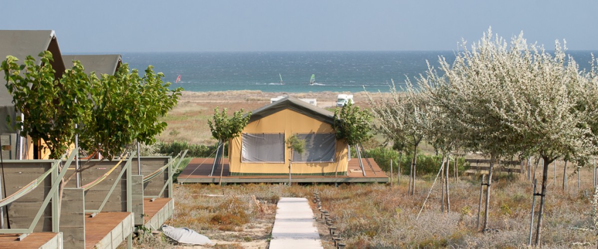 Wild beauties of the island