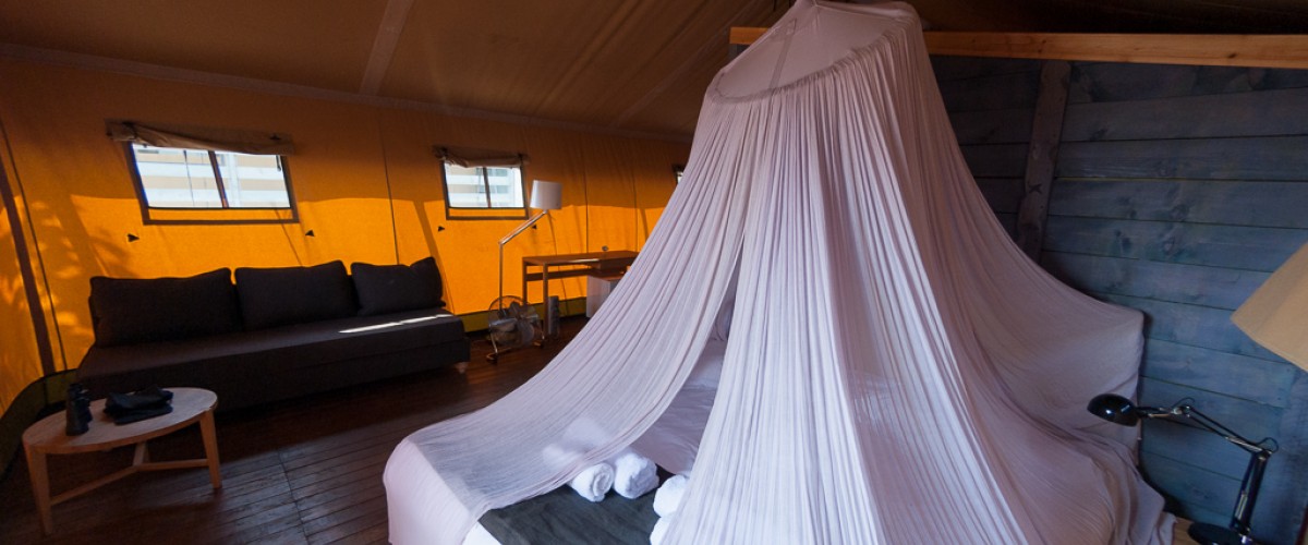 The bed was Cocomat